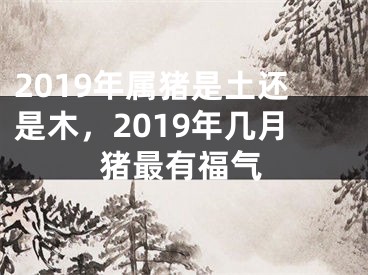 2019年属猪是土还是木,2019年几月猪最有福气