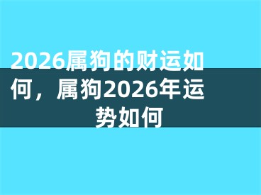 2026属狗的财运如何，属狗2026年运势如何