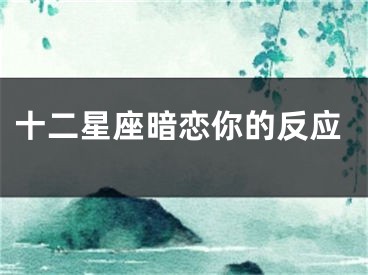 十二星座暗恋你的反应