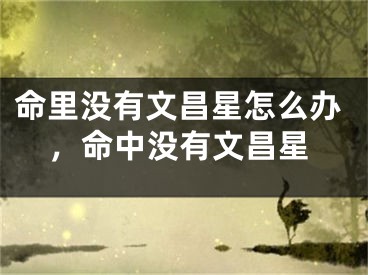 命里没有文昌星怎么办,命中没有文昌星