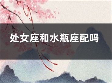 处女座和水瓶座配吗