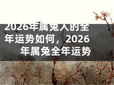 2026年属兔人的全年运势如何，2026年属兔全年运势