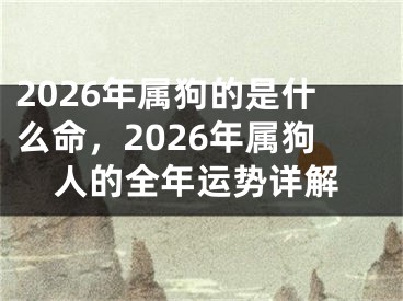 2026年属狗的是什么命，2026年属狗人的全年运势详解
