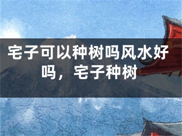 宅子可以种树吗风水好吗，宅子种树