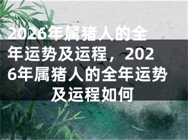 2026年属猪人的全年运势及运程，2026年属猪人的全年运势及运程如何