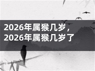 2026年属猴几岁，2026年属猴几岁了