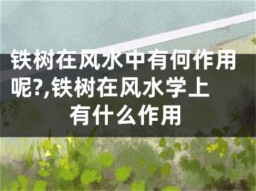 铁树在风水中有何作用呢?,铁树在风水学上有什么作用