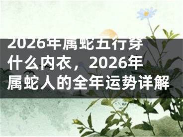 2026年属蛇五行穿什么内衣，2026年属蛇人的全年运势详解