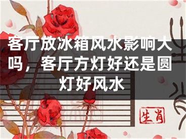客厅放冰箱风水影响大吗,客厅方灯好还是圆灯好风水