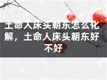 土命人床头朝东怎么化解,土命人床头朝东好不好