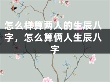 怎么样算两人的生辰八字,怎么算俩人生辰八字