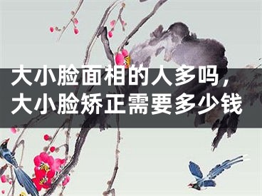大小脸面相的人多吗，大小脸矫正需要多少钱