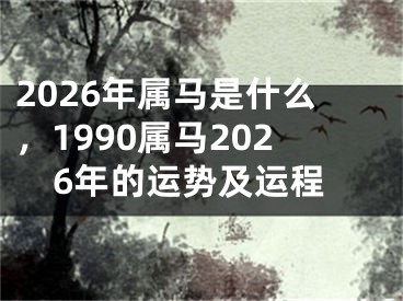 2026年属马是什么,1990属马2026年的运势及运程