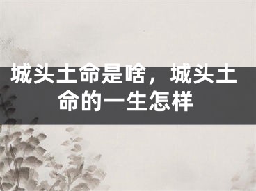 城头土命是啥，城头土命的一生怎样