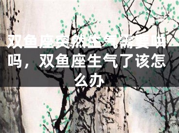 双鱼座突然生气需要哄吗，双鱼座生气了该怎么办