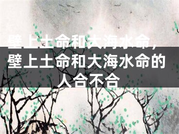 壁上土命和大海水命,壁上土命和大海水命的人合不合