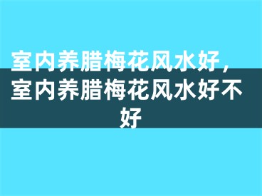 室内养腊梅花风水好，室内养腊梅花风水好不好