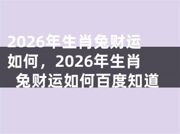2026年生肖兔财运如何，2026年生肖兔财运如何百度知道
