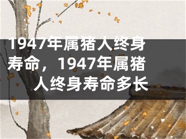 1947年属猪人终身寿命，1947年属猪人终身寿命多长