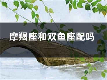 摩羯座和双鱼座配吗