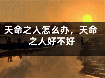天命之人怎么办，天命之人好不好