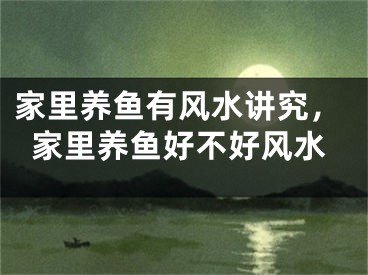 家里养鱼有风水讲究，家里养鱼好不好风水