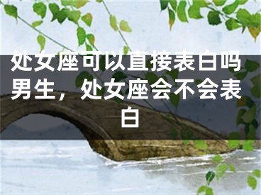处女座可以直接表白吗男生，处女座会不会表白