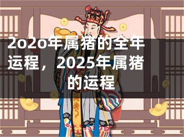 2o2o年属猪的全年运程，2025年属猪的运程