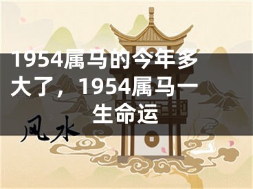 1954属马的今年多大了,1954属马一生命运