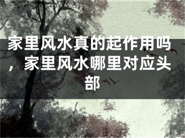 家里风水真的起作用吗,家里风水哪里对应头部