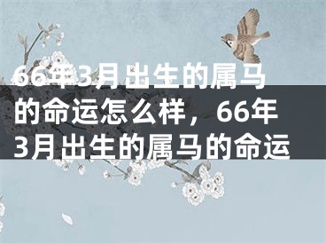 66年3月出生的属马的命运怎么样，66年3月出生的属马的命运