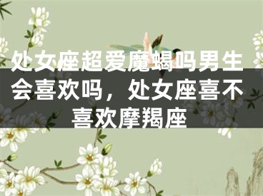 处女座超爱魔蝎吗男生会喜欢吗,处女座喜不喜欢摩羯座