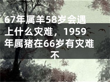 67年属羊58岁会遇上什么灾难,1959年属猪在66岁有灾难不