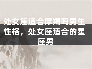 处女座适合摩羯吗男生性格,处女座适合的星座男