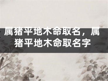 属猪平地木命取名，属猪平地木命取名字