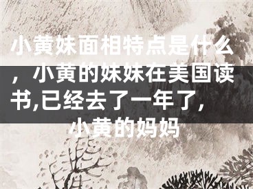 小黄妹面相特点是什么，小黄的妹妹在美国读书,已经去了一年了,小黄的妈妈