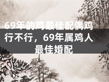 69年的鸡最佳配偶鸡行不行,69年属鸡人最佳婚配