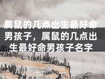 属鼠的几点出生最好命男孩子，属鼠的几点出生最好命男孩子名字