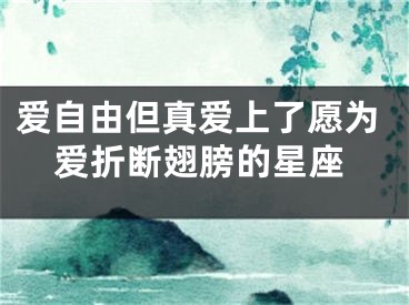 爱自由但真爱上了愿为爱折断翅膀的星座