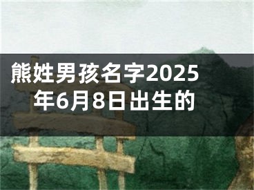 熊姓男孩名字2025年6月8日出生的
