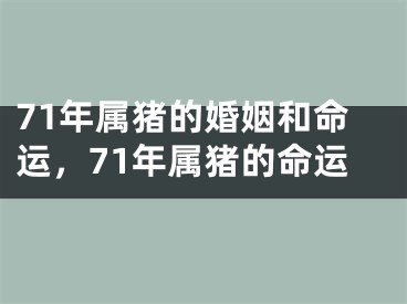 71年属猪的婚姻和命运，71年属猪的命运