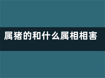 属猪的和什么属相相害
