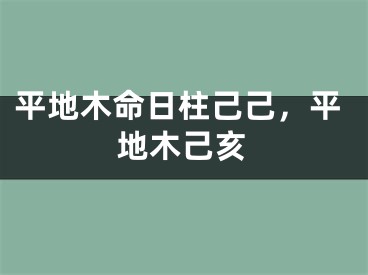 平地木命日柱己己，平地木己亥