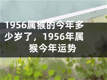 1956属猴的今年多少岁了，1956年属猴今年运势