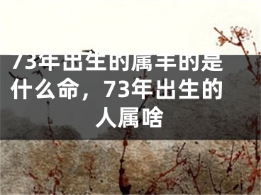 73年出生的属羊的是什么命，73年出生的人属啥