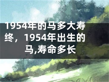 1954年的马多大寿终,1954年出生的马,寿命多长