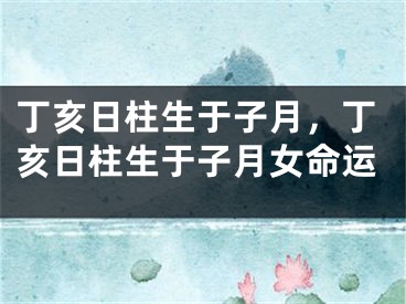 丁亥日柱生于子月，丁亥日柱生于子月女命运
