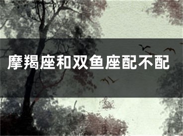 摩羯座和双鱼座配不配