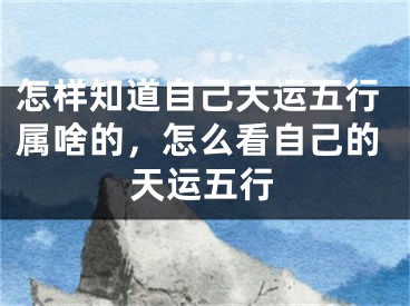怎样知道自己天运五行属啥的,怎么看自己的天运五行