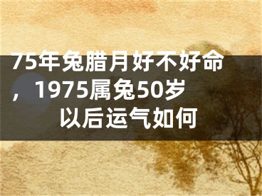 75年兔腊月好不好命，1975属兔50岁以后运气如何